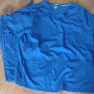 Healing Hands Blue Scrub Top and bottoms